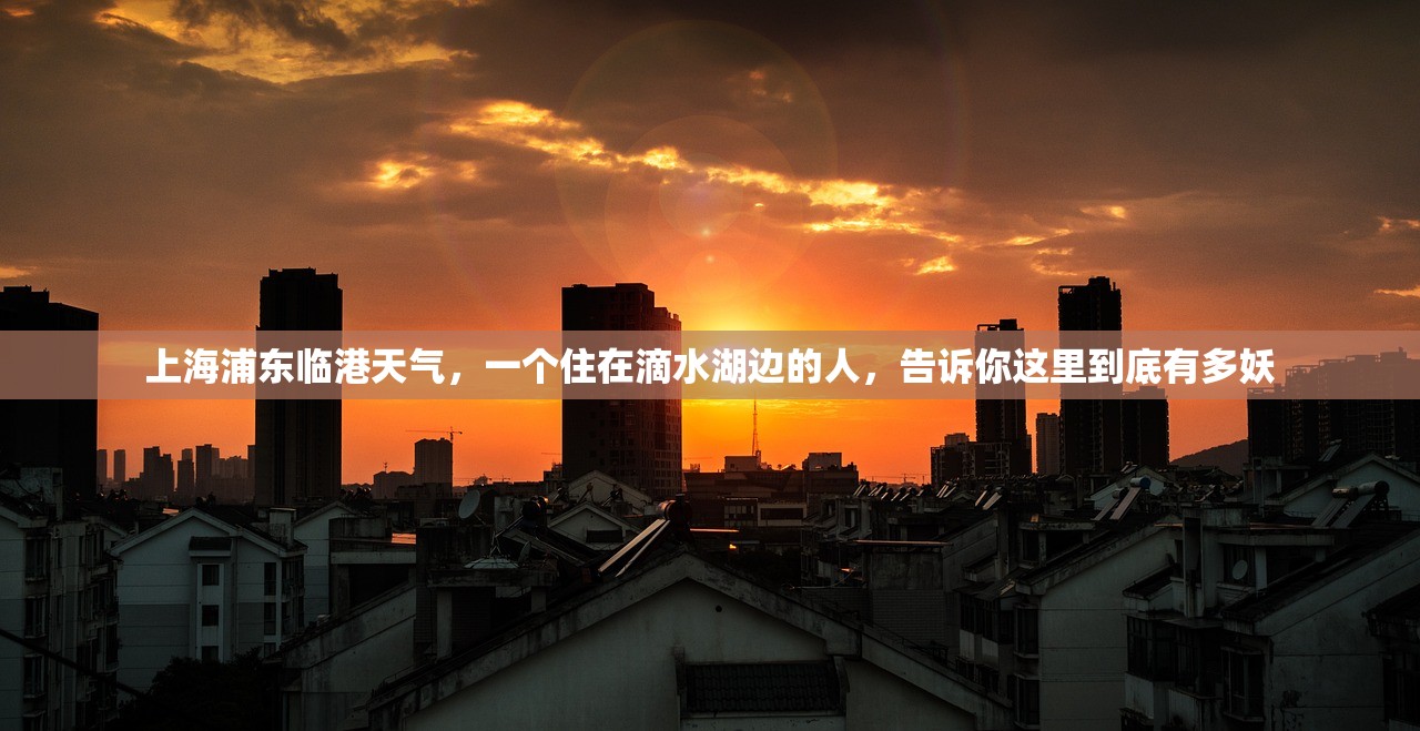 上海浦东临港天气，一个住在滴水湖边的人，告诉你这里到底有多妖
