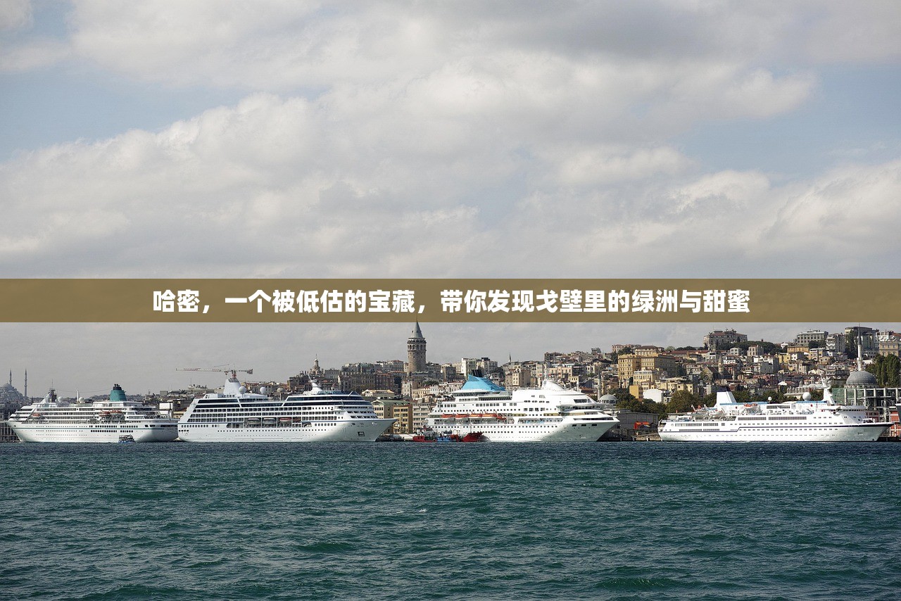 哈密，一个被低估的宝藏，带你发现戈壁里的绿洲与甜蜜