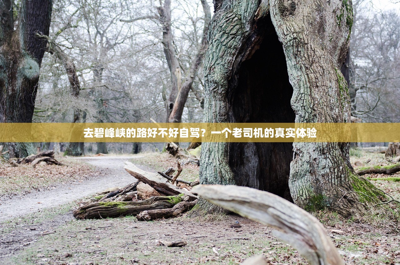 去碧峰峡的路好不好自驾？一个老司机的真实体验