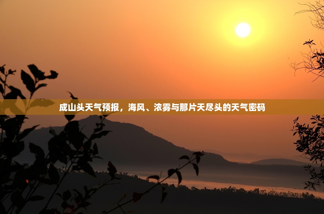 成山头天气预报，海风、浓雾与那片天尽头的天气密码