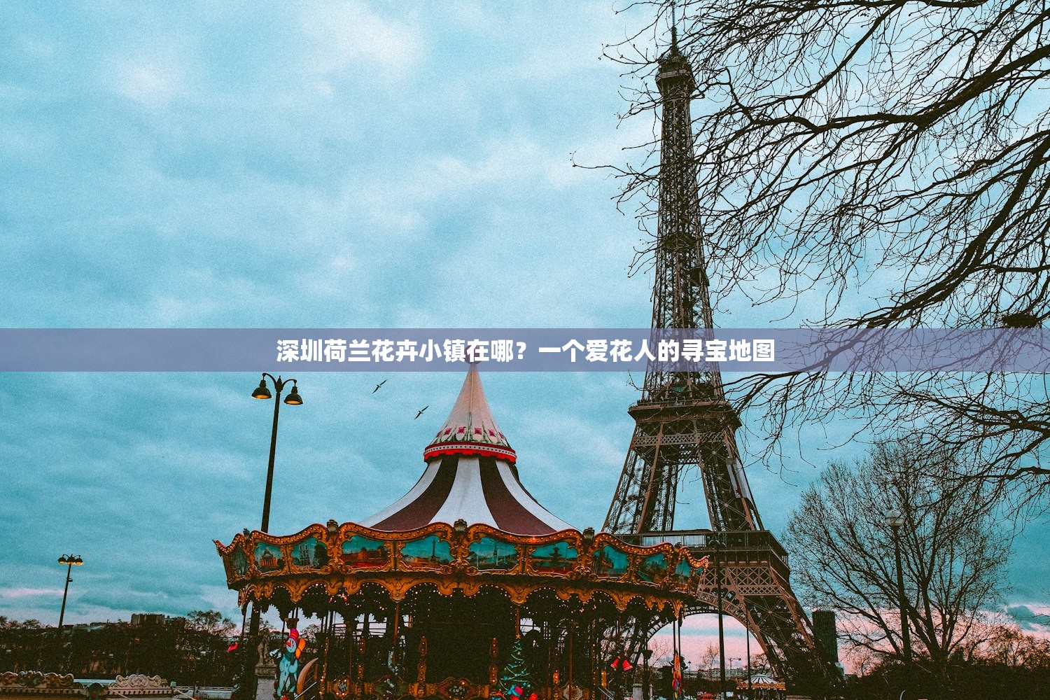 深圳荷兰花卉小镇在哪？一个爱花人的寻宝地图