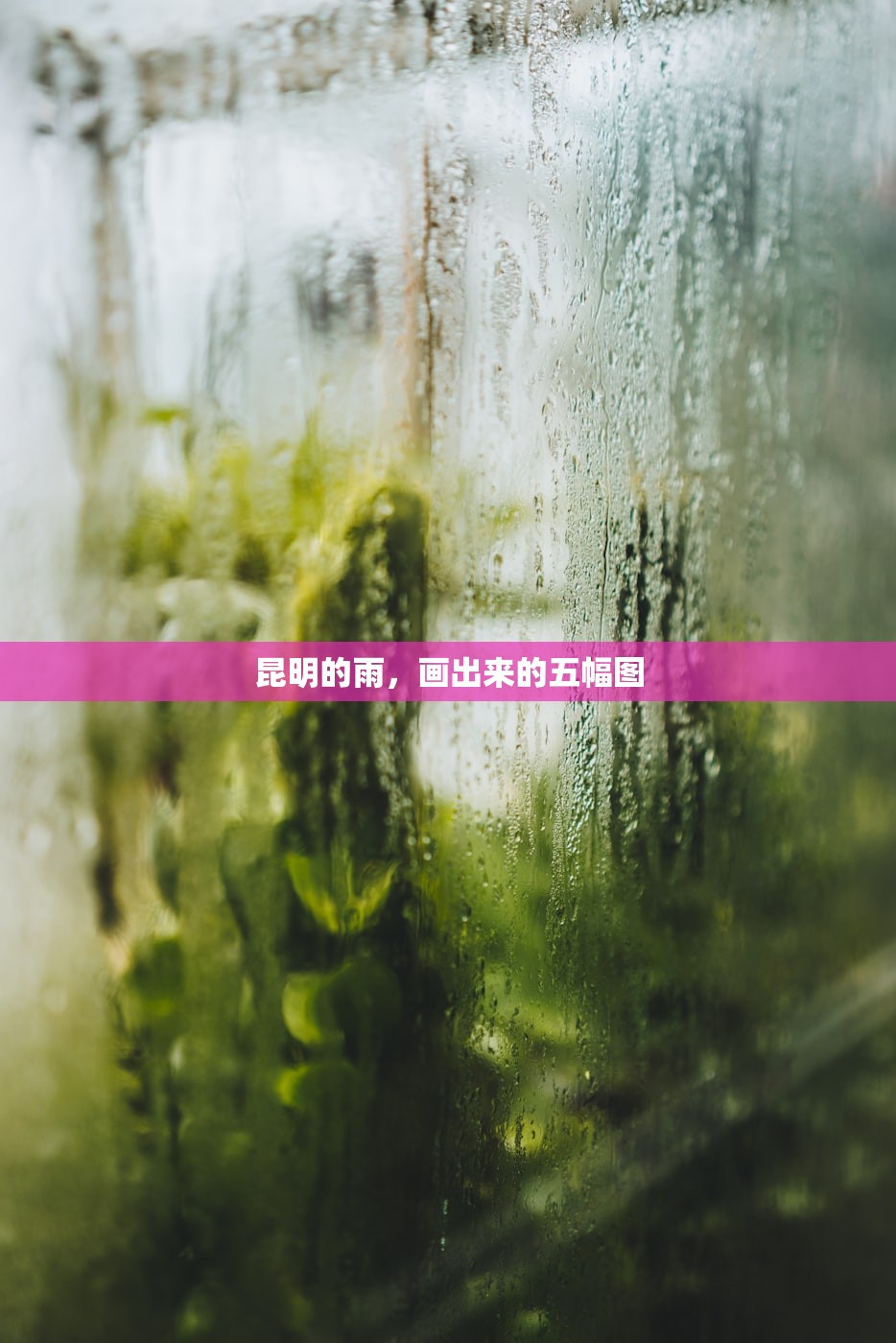昆明的雨，画出来的五幅图