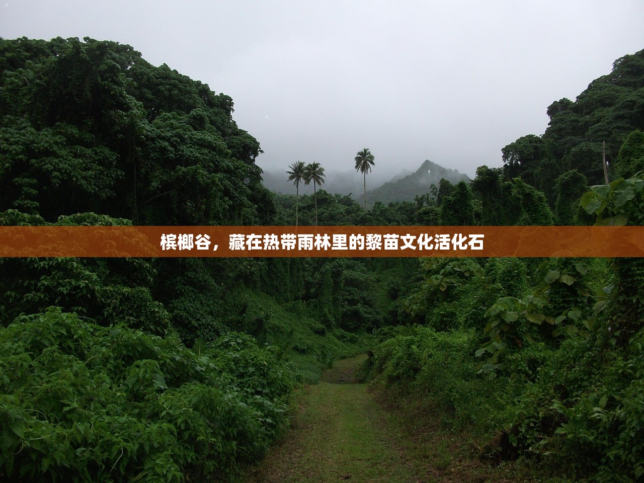 槟榔谷，藏在热带雨林里的黎苗文化活化石