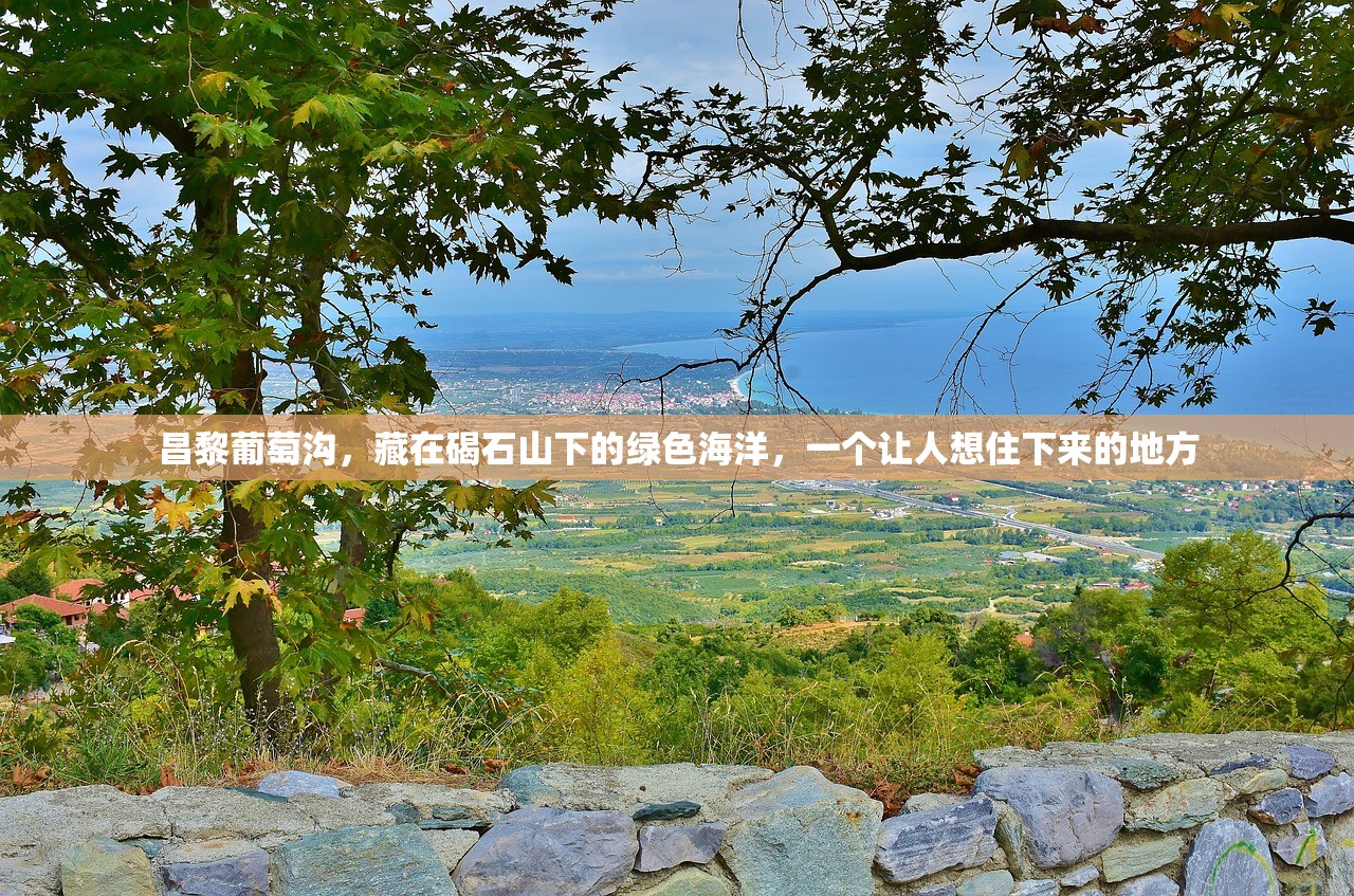 昌黎葡萄沟，藏在碣石山下的绿色海洋，一个让人想住下来的地方
