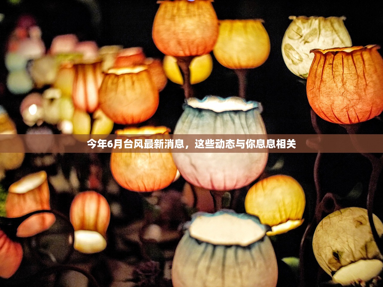 今年6月台风最新消息,这些动态与你息息相关 今年6月台风最新消息,这些动态与你息息相关
