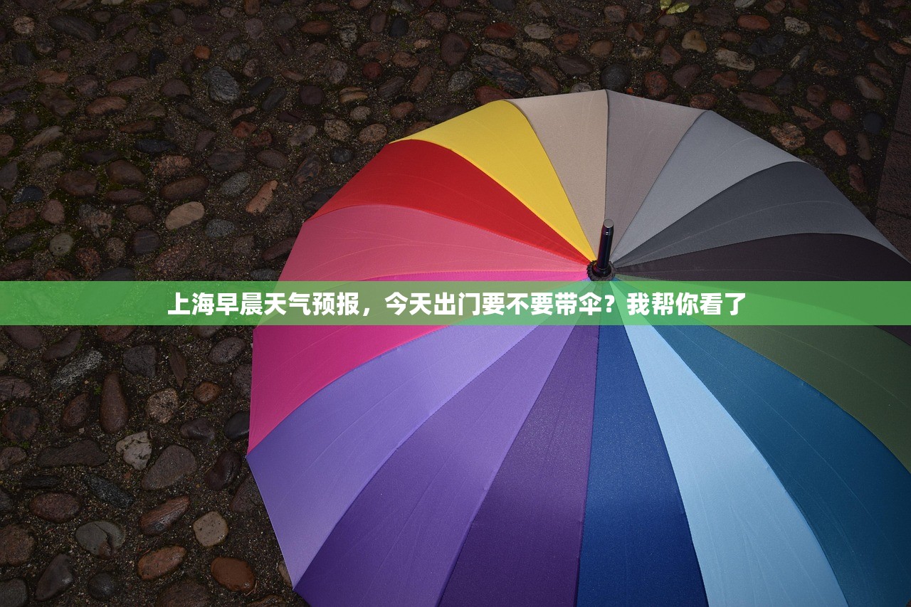 上海早晨天气预报，今天出门要不要带伞？我帮你看了