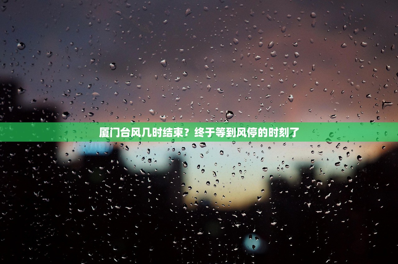 厦门台风几时结束？终于等到风停的时刻了
