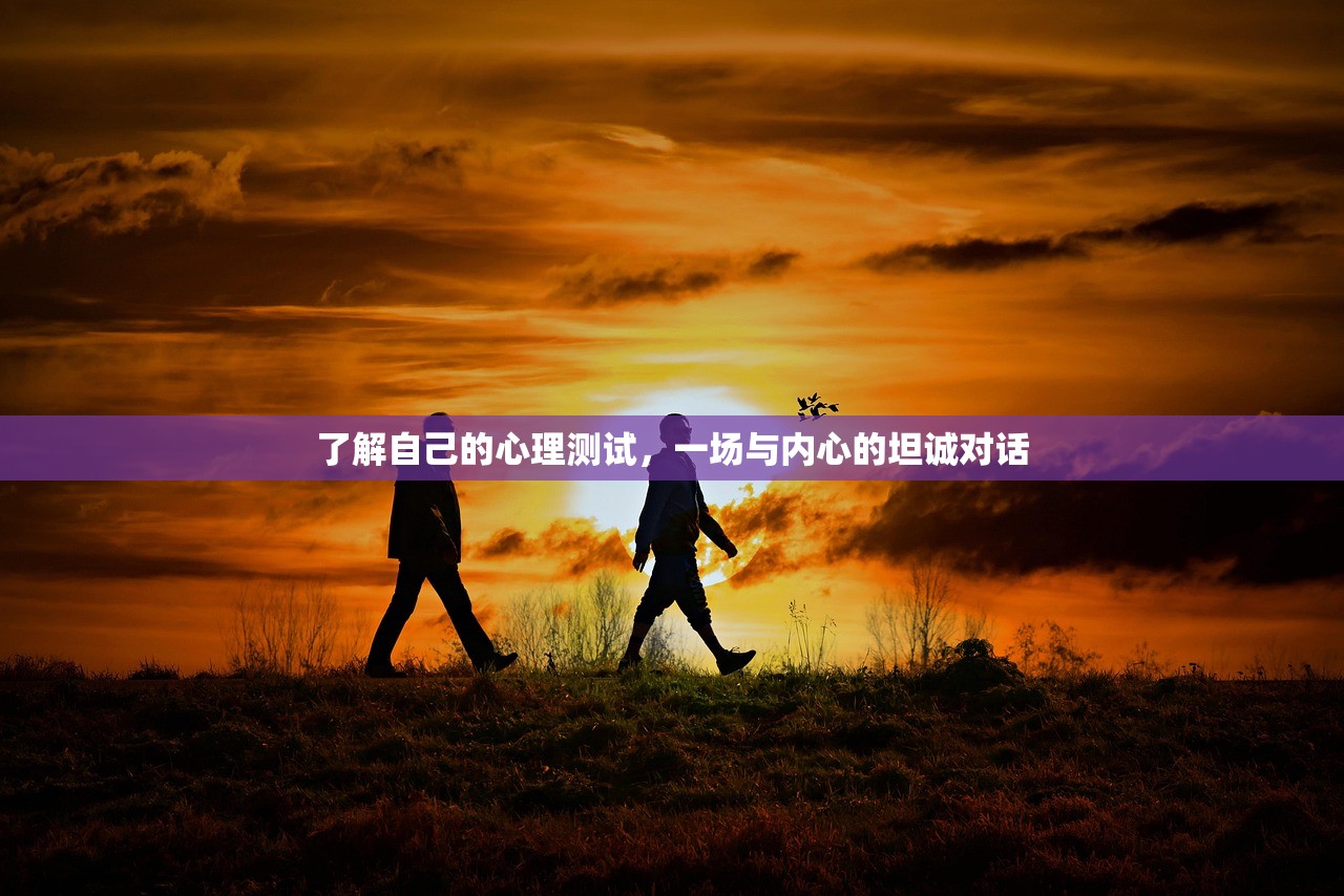 了解自己的心理测试，一场与内心的坦诚对话