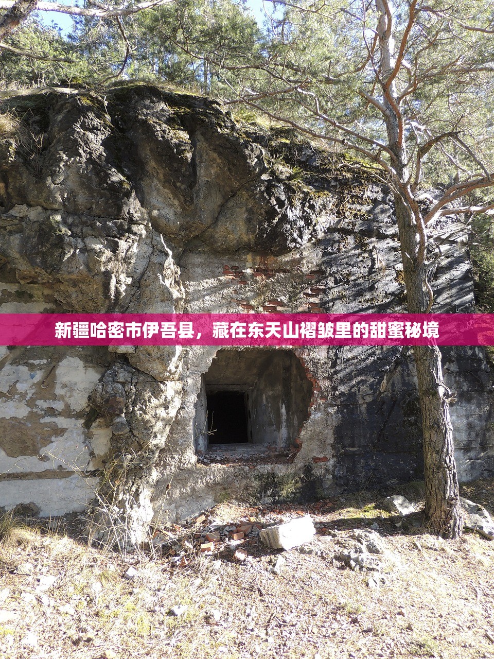 新疆哈密市伊吾县，藏在东天山褶皱里的甜蜜秘境