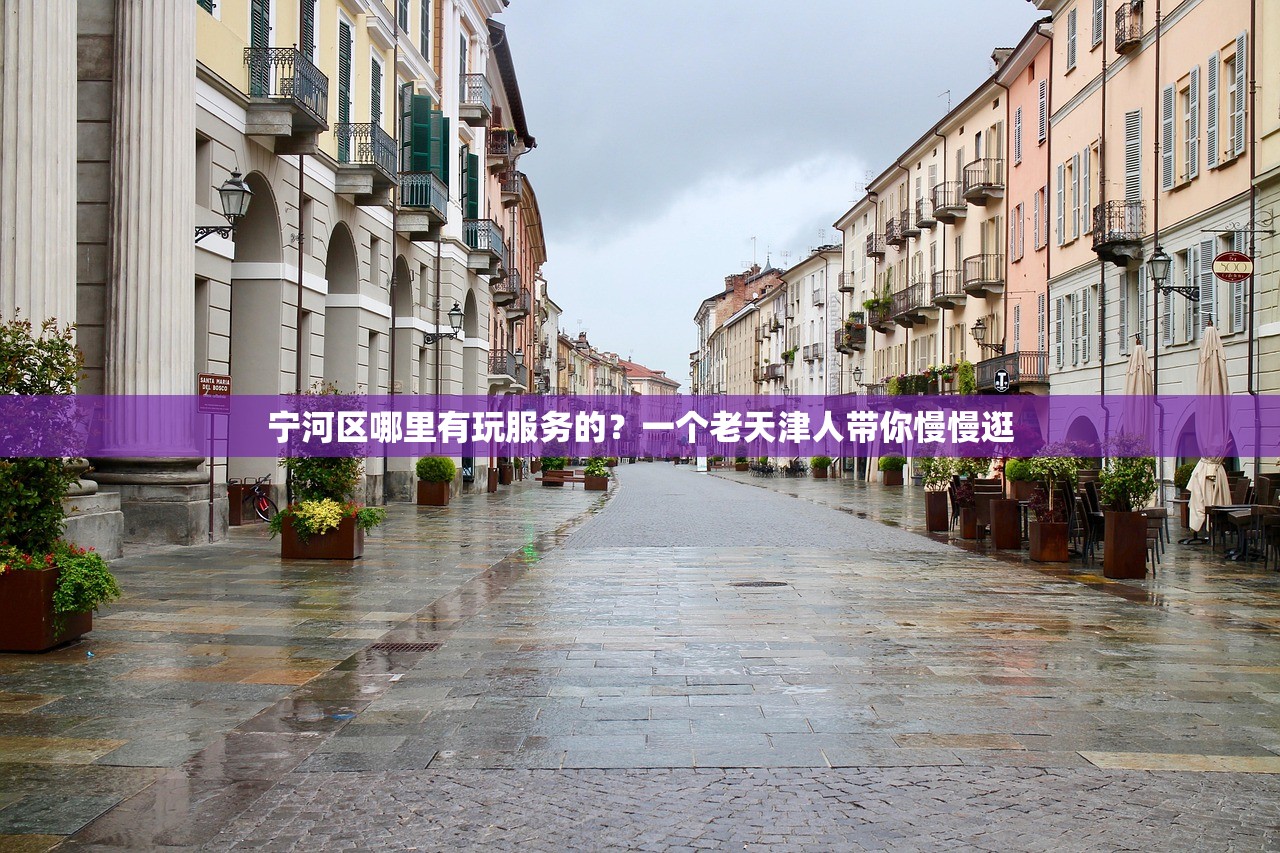 宁河区哪里有玩服务的？一个老天津人带你慢慢逛
