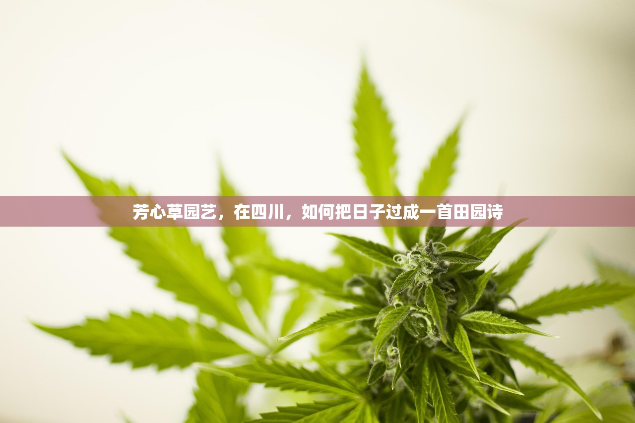 芳心草园艺，在四川，如何把日子过成一首田园诗